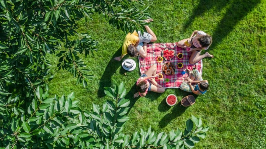 cómo hacer un picnic tics